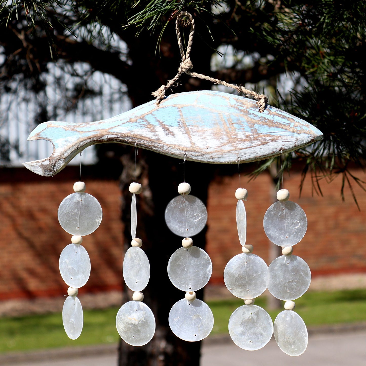 Bluewash Fish Carving and Natural Copis Drop